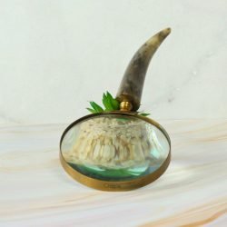 Curved Horn Handle Magnifier | Shiny Brass, Clear Lens | Rustic Reading Aid & Elegant Desk Gift - Image 5