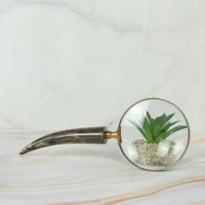 Admiring Vintage Brass Magnifier