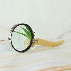 handheld magnifying glass