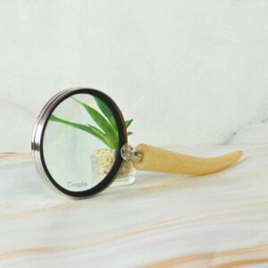 handheld magnifying glass