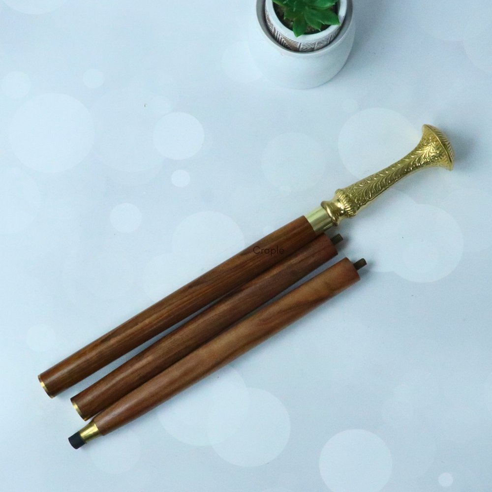 Walking Stick Cane